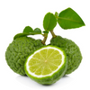 Bergamot